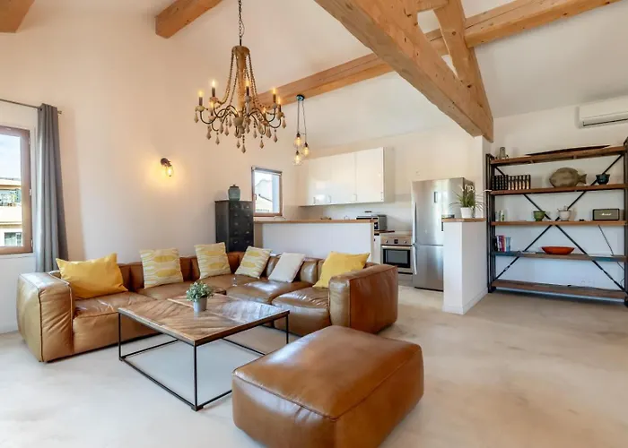 Olive- Vaste appartement donnant sur la Sorgue