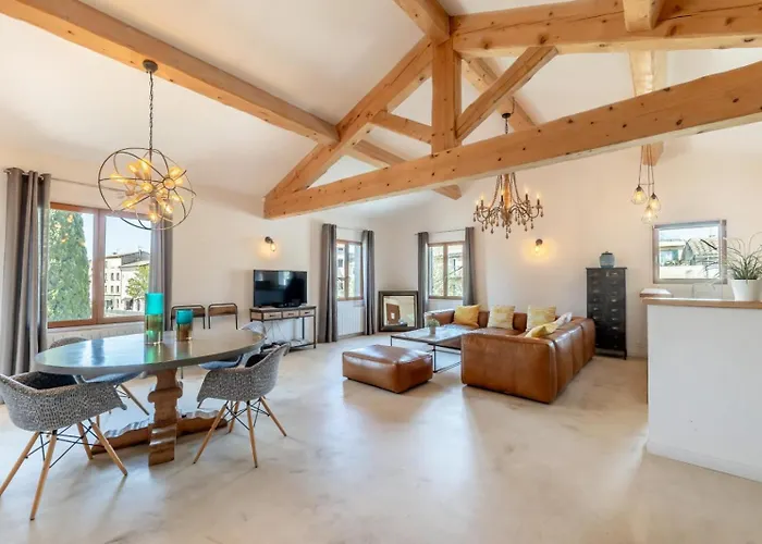 Olive- Vaste Appartement Donnant Sur La Sorgue